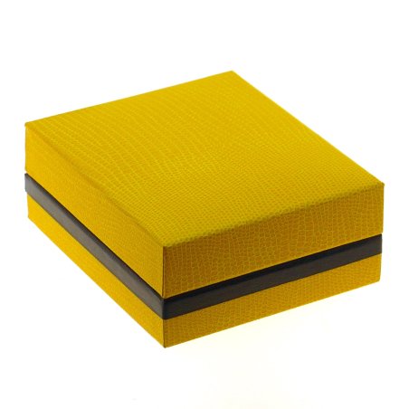 Футляр для ювелірних виробів АртCJ 1006 stripe - купити в «Аметист-В» Харків Україна